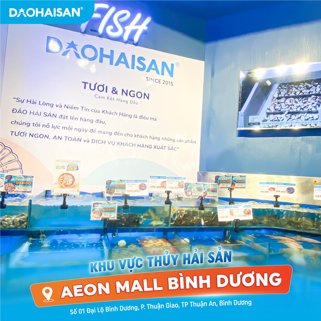 Company Banner